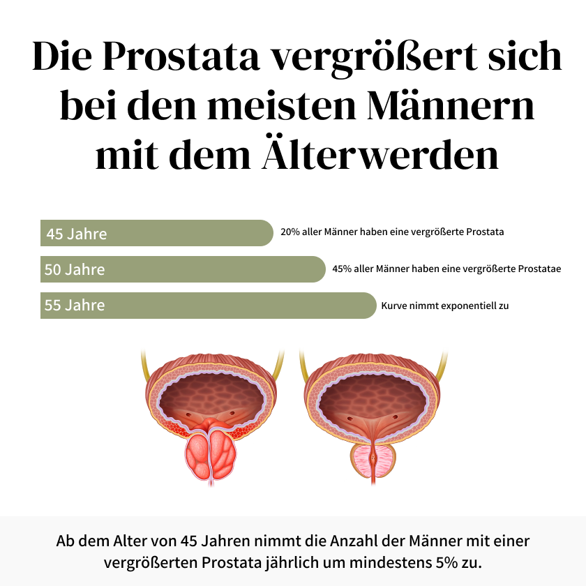ProstaMen - Soforthilfe bei ständigem Harndrang und schwachem Harnstrahl ab 2 Wochen