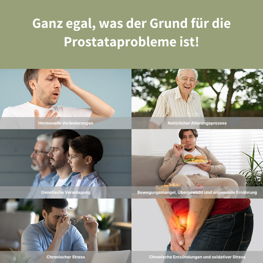ProstaMen - Soforthilfe bei ständigem Harndrang und schwachem Harnstrahl ab 2 Wochen